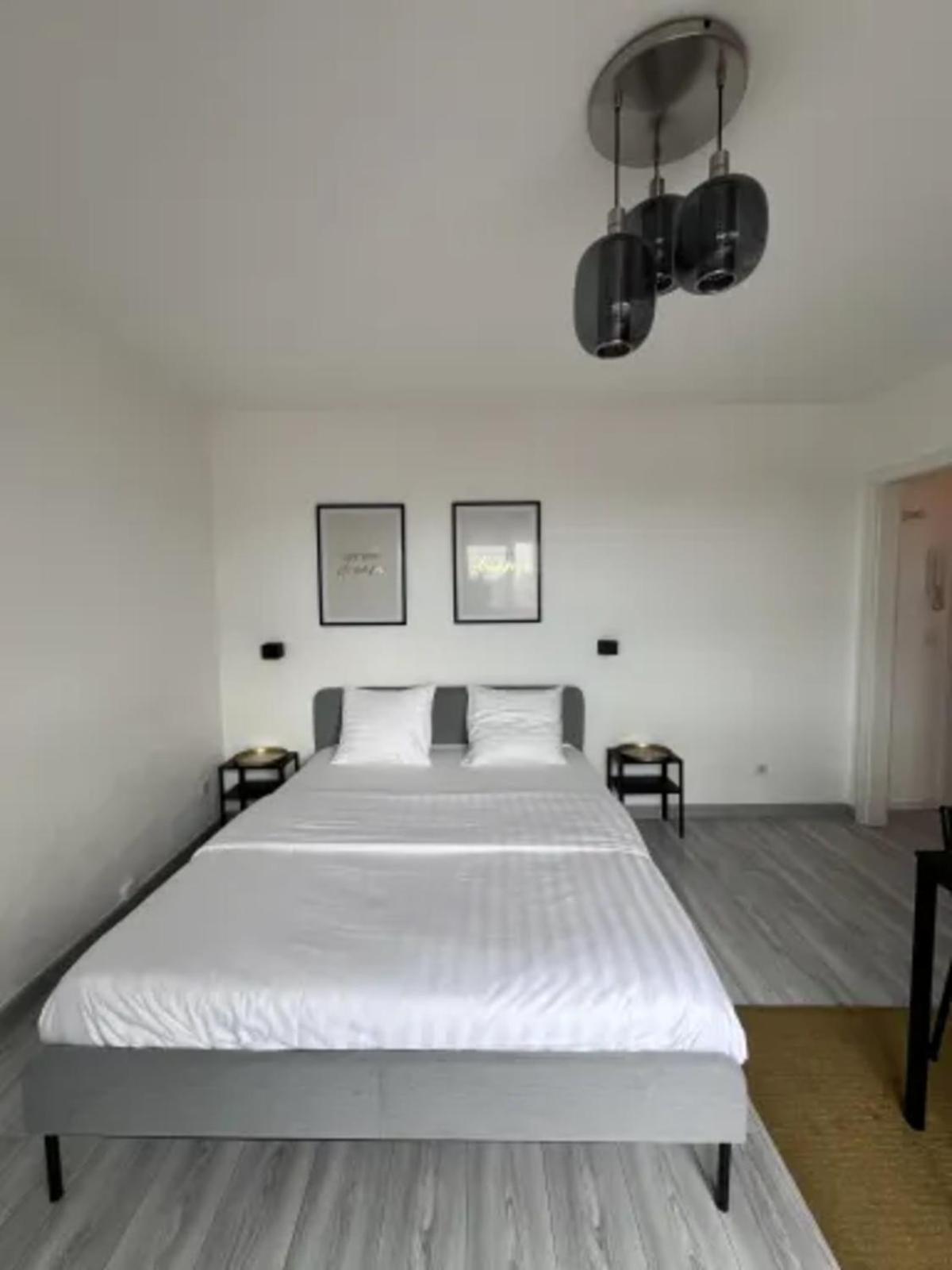 Cosy Rent Strasbourg Wifi Terrasse St Aloise 빌라 외부 사진